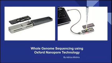 Whole Genome Sequencing using Oxford Nanopore Technology|Adriza Mishra
