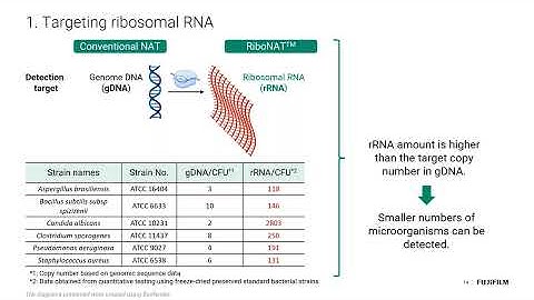 The Future of Sterility Testing: One-Day Results with Advanced RT-rt PCR Technology