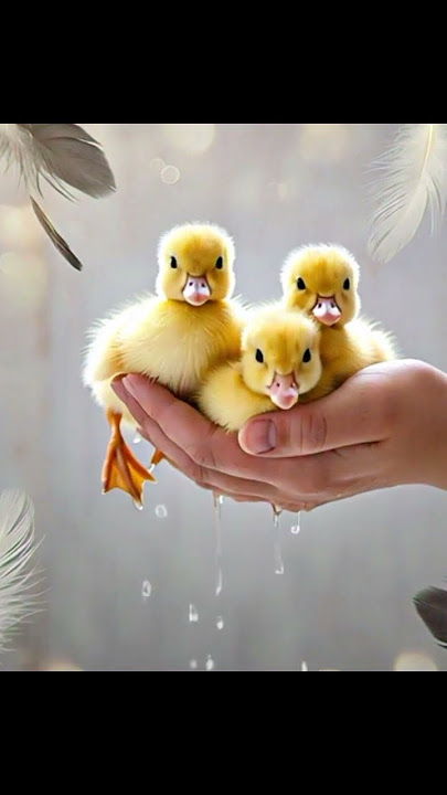 sound animals #shortviral #animals #sound