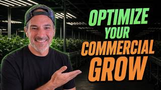 Commercial Grow Room Setup: The Tent Mistake Killing Your Yield