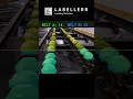 Multi-Lane Conveyor Belt Tracking With Zero Miscounts Using AI