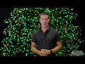 Twinkly Pro Commercial Christmas Tree Install - Christmas Designers