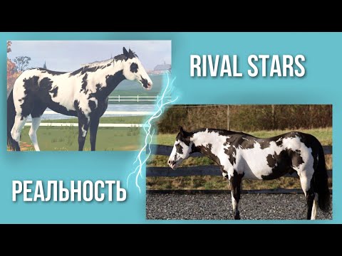 Видео: Возможно ли создать в Rival Stars лошадей с мастями как в жизни / Rival Stars VS Real Life