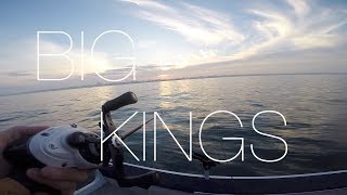 KING SALMON fishing Lake Michigan