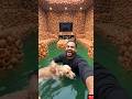 pani puri house #shorts #viralvideo#shortsindia
