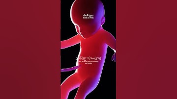 وَاللهُ أَخْرَجَكُم مِن بُطُونِ أُمَّهَاتِكُمْ لاَ تَعْلَمُونَ شَيْئًا#سورة_النحل  #ياسر_الدوسري