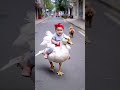 CUTTINGPET The most handsome kid on the street Share interesting videos CUTE baby and animals