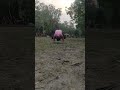 Workout#youtubeshorts#fitness@GopalChand-r5u #trending#viral