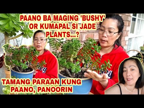 Video: Pwede bang maging kayumanggi si Jade?