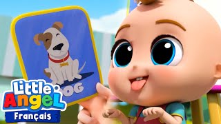 Sons d&#39;animaux | Comptines avec Bébé Louis | Little Angel Français