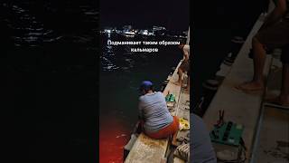 Игра в кальмара Как в Таиланде ловят кальмаров рыбалка сеть fishing squidgame huahin thailand