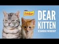 Dear Kitten: Regarding Friendship