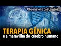 OBSERVATÓRIO DAS ORIGENS #09: Terapia gênica e a maravilha do cérebro humano