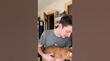 Это был не сон...