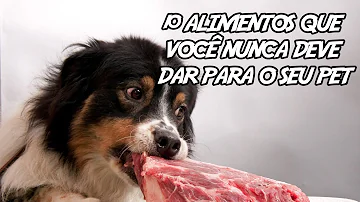 Pode dar salame para cachorro?