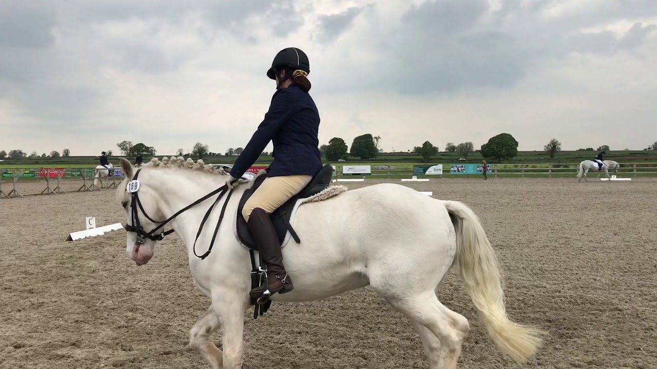 Prelim 1 dressage test (66) YouTube Prelim 1 dressage test (66) YouTube