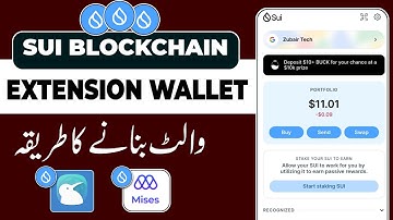 How To Install Sui Wallet Extension in Kiwi Browser