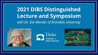 Annual DIBS Distinguished Lecture & Symposium with Dr. Eve Marder (2021)