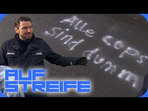 “Alle Cops sind dumm!” Beleidigende Botschaft auf der Straße! | Auf Streife | SAT.1