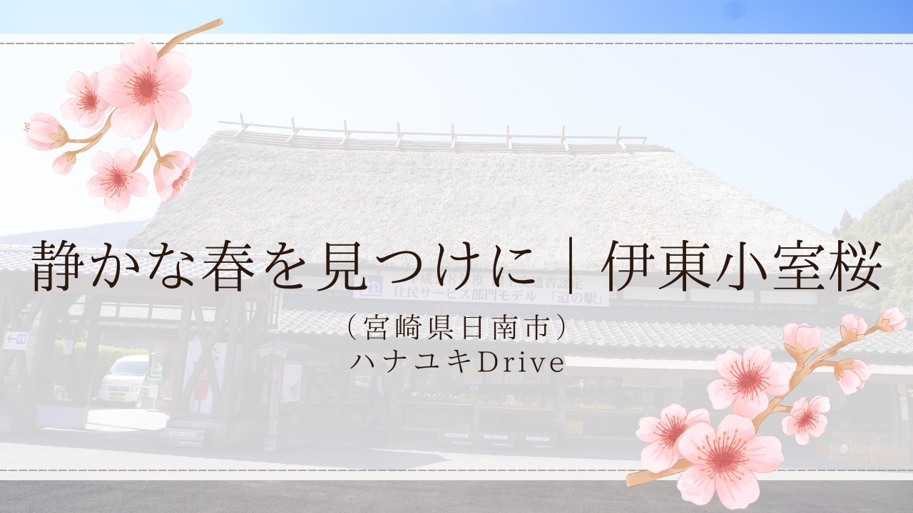 静かな春を見つけにー伊東小室桜（宮崎県日南市）#初心者 #九州 #宮崎県 #鹿児島 #春 #九州 #ドライブ