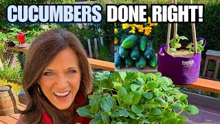 🥒LIVE: Cucumber Growing Techniques for a Summer of Success (REPLAY)