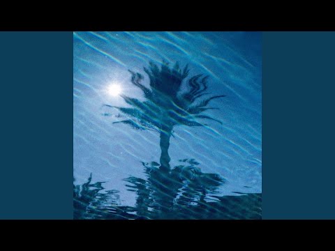 Lyno Nine8 - Palmen
