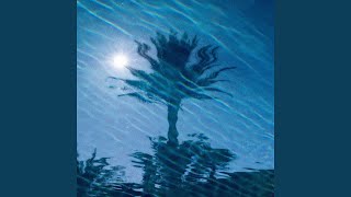 Palmen - Lyno Nine8