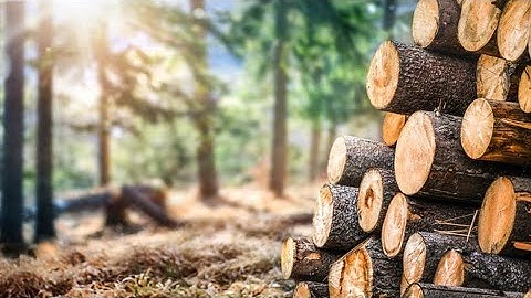 PPM methodology implementation in a wood processing company Astar