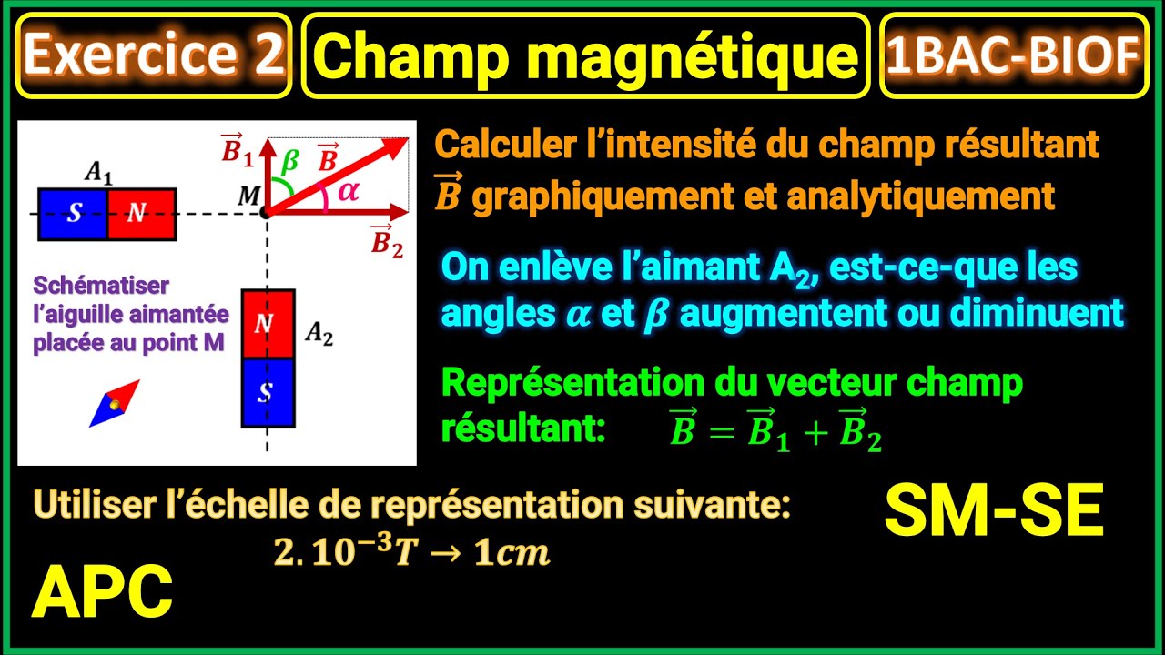 Exercice 2: Champ magnétique || 1BAC - BIOF || S.Math - S.Exp