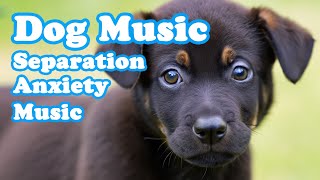 Healing Dog Music! Watch Your Dog Fall Asleep Before Your Eyes with Our Specially Designed Dog Music