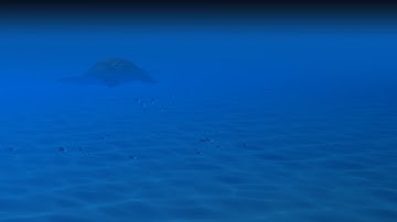 maya 3D animation -  seaturtle and fish (마야 바다 애니메이션) [LSA_studio]