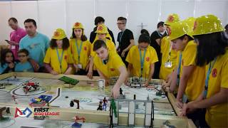 FFL Galicia - Animal Allies 2017 - VALORES