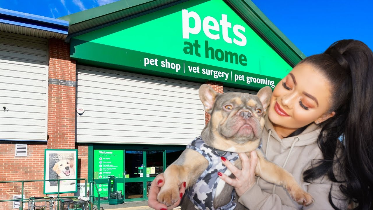COME SHOP WITH ME & MY FRENCHIE / FRENCH BULLDOG! ✨pets at home | pet essentials you need! tips