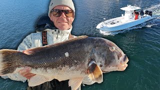 Searching for BIG Blackfish in Rhode Island (Tautog Fishing)