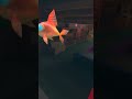 speed running the new update p2 #gorillatag #gorillatagvr #oculus #vr