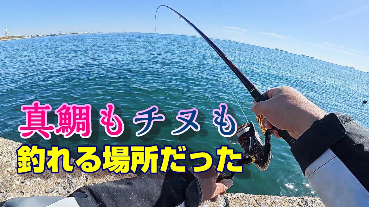 後発有利！？なぜ釣れたかが見えてくる動画。