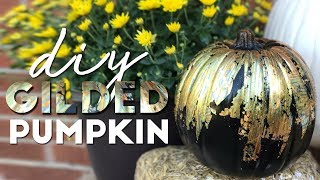 The Halloween Pumpkin You Dont Need To Carve