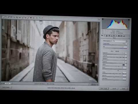 პორტრეტის დამუშავება (ტონირების შეცვლა)