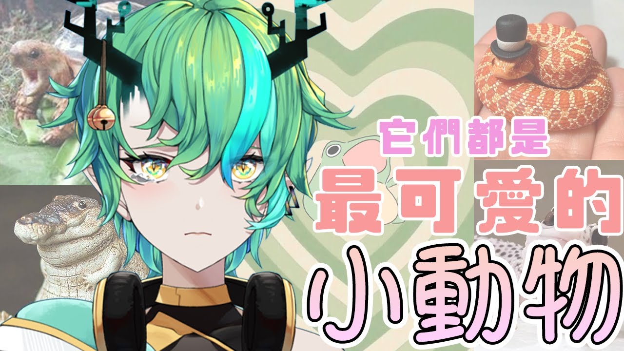 【#雜談 #一六分享】你看!這麼可愛的動物,能夠不愛嗎?!【Ichiroku 一六】 | MYViki