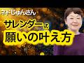 【ネドじゅんさん】最新版！願いの叶え方｜すでに決まっている流れに乗る
