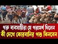 কী দেখে কোরবানির পশু কিনবেন, হাটে ব্যবসায়ীরা যে পরামর্শ দিলেন | Cow Market |  Ekushey TV