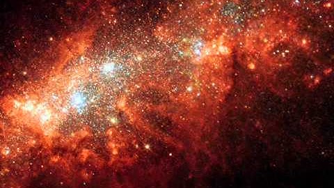 infinite scale   cells