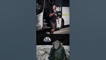 🔥Monkey Reacts to FUNNIEST Memes! 😂 Try Not to Laugh! #Shorts #Funny #Memes #comedy  #Trending