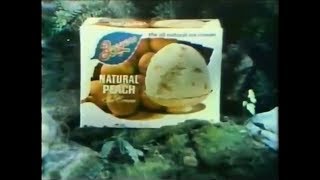 Breyers Ice Cream Commercial 1978