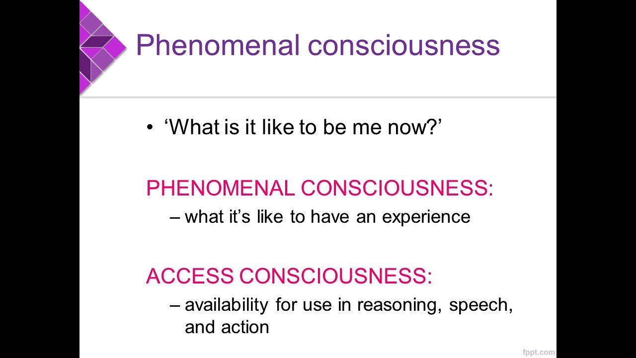 1.5 Defining consciousness