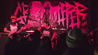Unthroned - Vein Drain