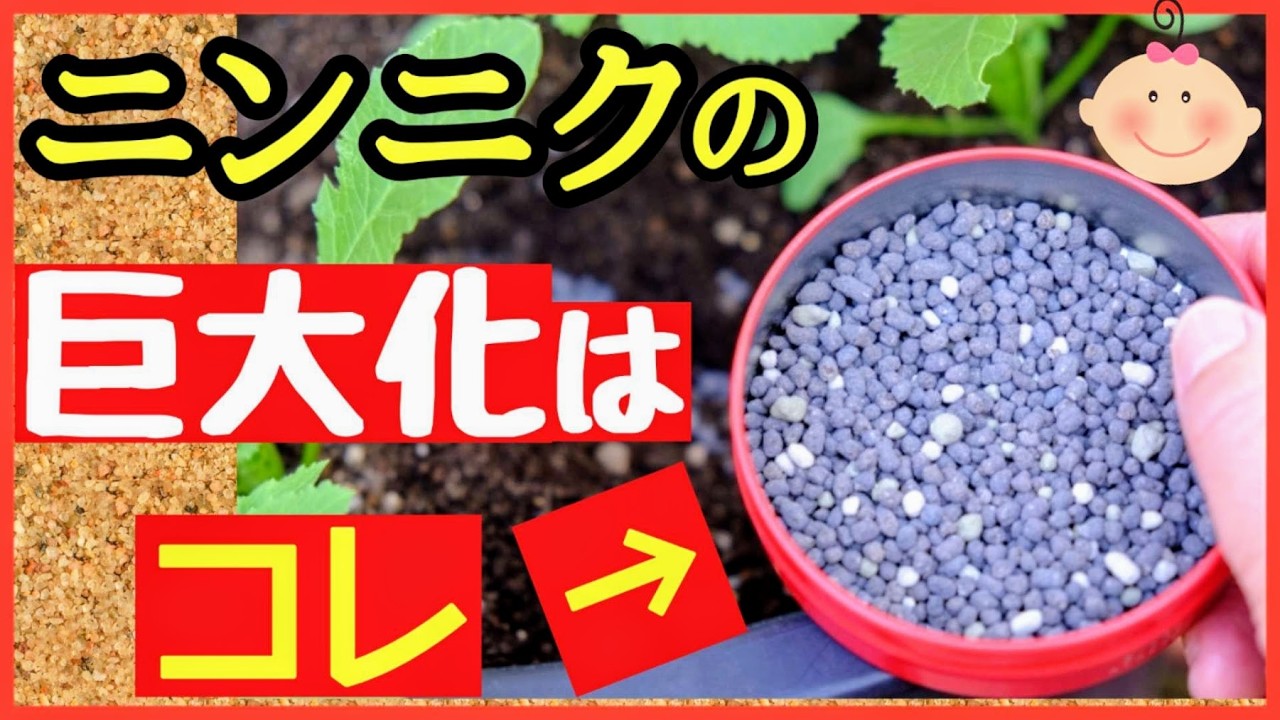 Easy to do even in your home garden! What is the secret to