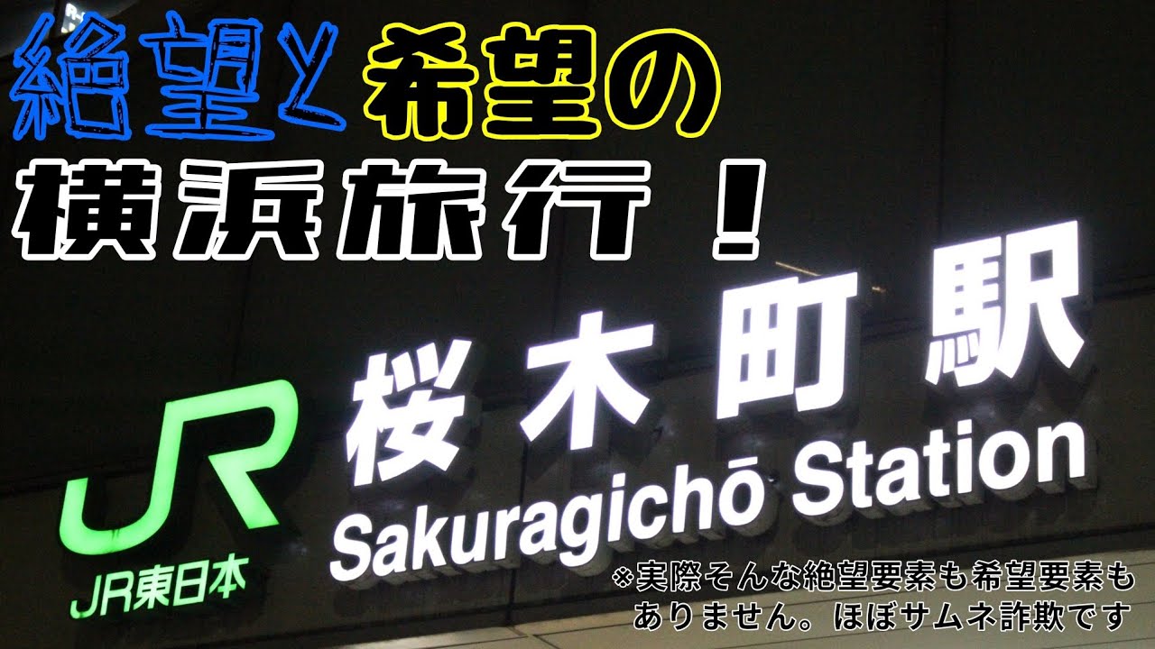 【2年ぶり】絶望と希望の横浜旅行！
