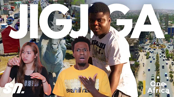 The Somali State Inside Ethiopia (Jigjiga) | SwahiliNation