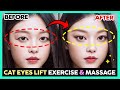  تمرين رفع عيون القط والتدليك رفع العين إصلاح العيون المتدرجة العيون الطويلة mp3